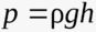 08009kje-8a12-87x29.png