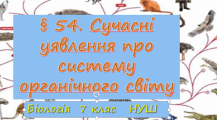 Презентація  до уроку  «§ 54. Сучасні уявлення про систему органічного світу» 7клас НУШ