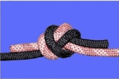 08009lsk-023e-232x154.png