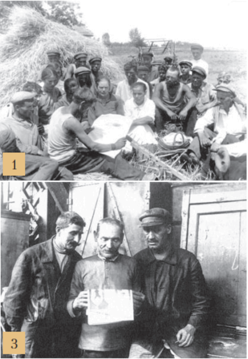08009qle-de48-940x1358.png