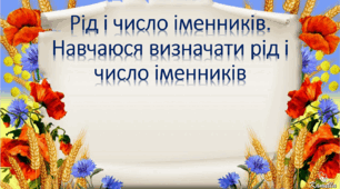 Рід і число іменників. Навчаюся визначати рід і число іменників
