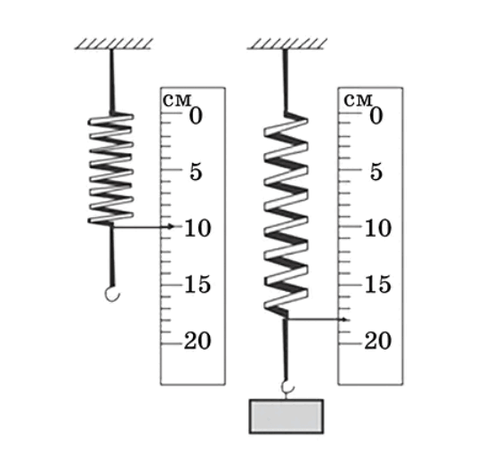08009rtf-2f74-562x510.png