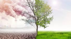 Презентація"La protection de la nature est notre devoir à tous!"