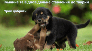 Урок доброти. Гуманне та відповідальне ставлення до тварин. Всесвітній день захисту тварин. Презентація+ завдання+гра