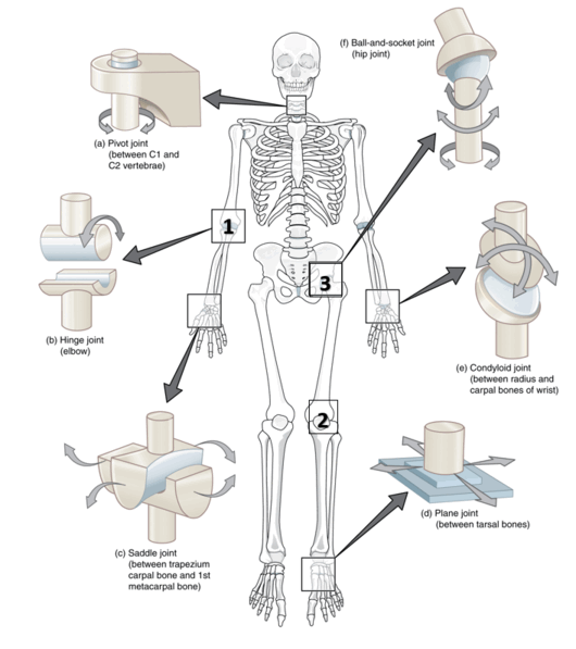 08009v2b-f571-530x597.png