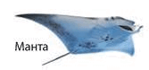 08009vcp-8118-167x78.png