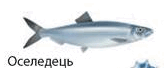 08009vde-c2d3-164x68.png
