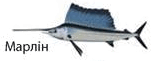 08009vdk-700f-160x61.png