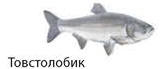 08009vdn-8309-164x69.png