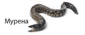 08009vds-c71d-168x69.png