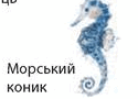 08009vdy-d598-125x90.png