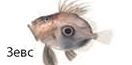 08009ve1-e27f-132x65.png