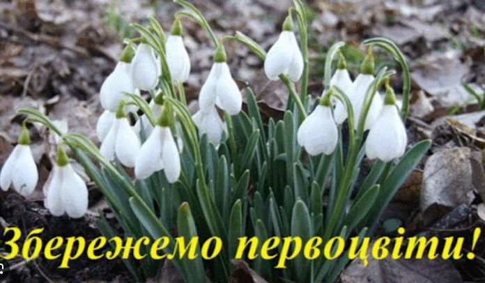 08009x9q-4322-696x406.png