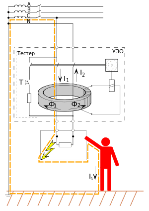 08009zym-1407-300x424.png
