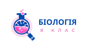 Презентація "Зорова система. Будова ока"