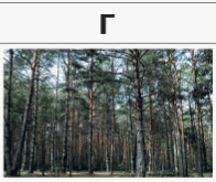 0800a17m-8951-196x165.png