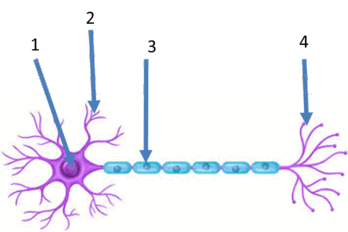0800a2uo-5788-348x232.png