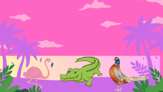 0800a6mk-6b5c-332x187.png