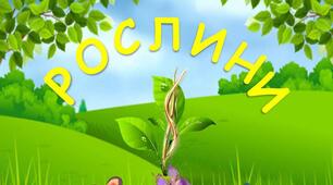 Діагностувальна робота. Рослини