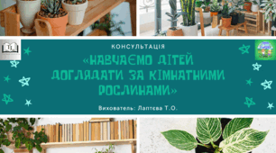 Консультація для батьків старшого дошкільного віку на тему «Навчаємо дітей доглядати за кімнатними рослинами».