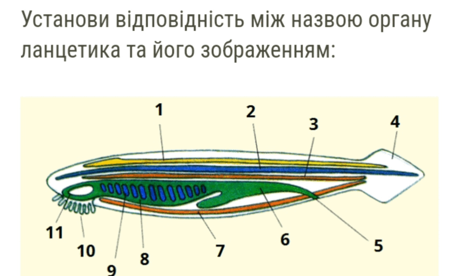 0800a9nj-3db5-940x566.png