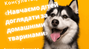 Консультація для батьків дітей старшого дошкільного віку на тему «Навчаємо дітей доглядати за домашніми тваринами».