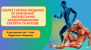Презентація до уроку Я досліджую світ 3 клас "Скелет і м’язи людини, їх значення. Запобігання захворюванням скелета та м’язів."