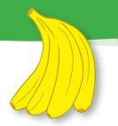 0800afgl-6d37-133x143.png