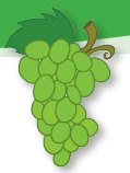 0800afgn-20f3-119x158.png