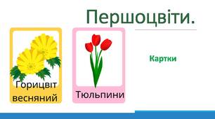 Першоцвіти. Картки.