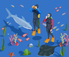 0800ak1g-3f00-241x198.png