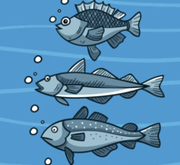 0800ak2t-f096-195x179.png