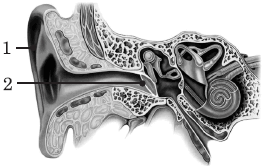 0800ami9-dac3-264x167.png