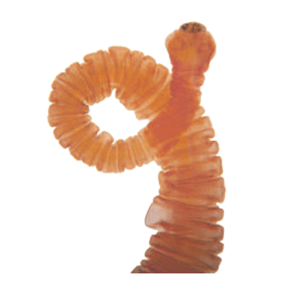0800ap77-9782-420x407.png