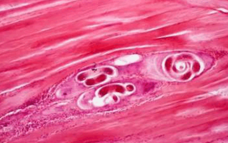0800apa0-9cc7-449x282.png