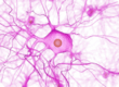 0800apzt-9c70-110x80.png