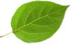 0800aq0l-61f4-103x64.png