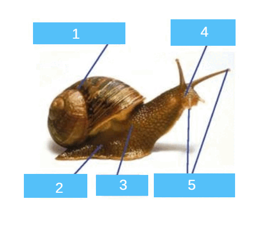 0800aq6g-6e76-520x468.png