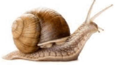 0800aqcd-97ff-384x217.png