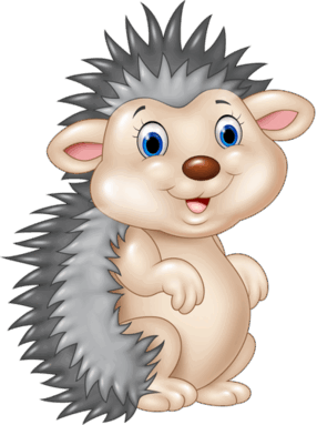 0800as0y-2f3e-286x383.png