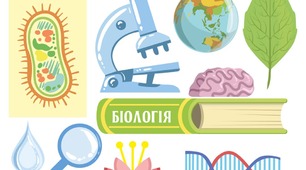 Презентація "Червоновуха черепаха"
