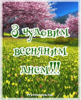 0800atjy-13fb-283x348.png