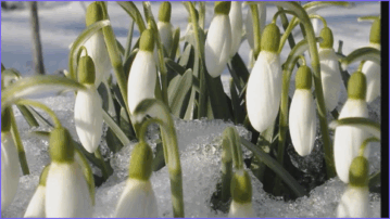 0800aueo-fa5d-359x202.png