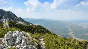 Тести Гірські ландшафти Українських Карпат та Кримських гір