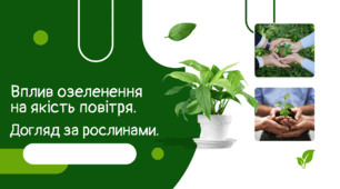 Презентація STEM 7 клас "Вплив озеленення на якість повітря. Догляд за рослинами."
