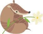 0800b09w-a55c-138x110.png