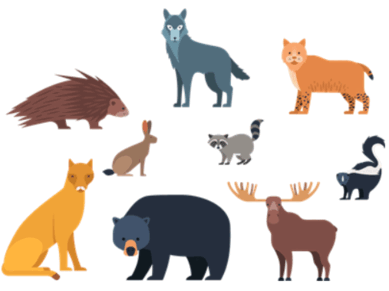 0800b0df-9fee-389x291.png