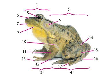 0800b1jr-7928-385x270.png