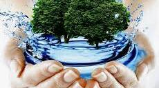 Environmental problems (Variant 1)