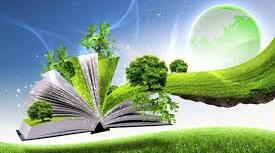 Environmental problems (Variant 2)